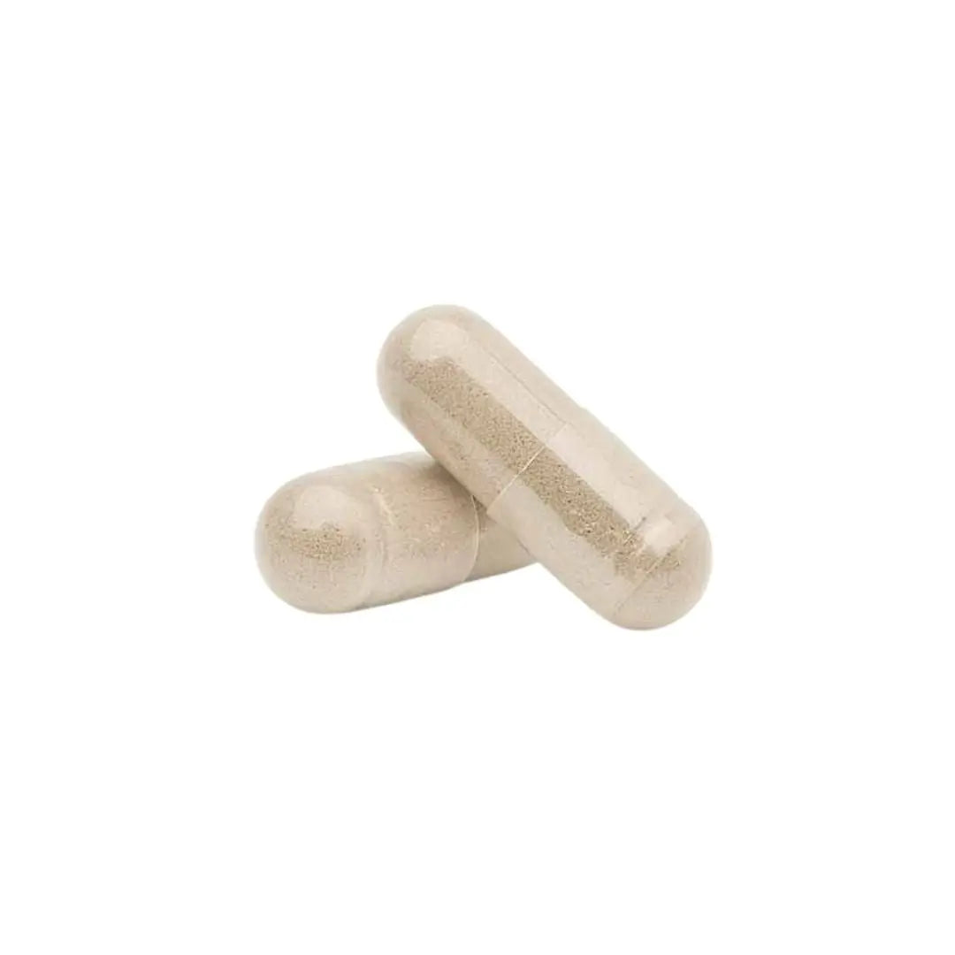 hhs a1 l carnitine lepidium 30 kapsl PTTAVM: L-Carnitine & Doal Zayflama ve Enerji Destei Carnitine Lepidium 30 Capsule Buy 2 HHS A1 L-Carnitine Lepidium 3